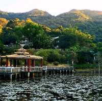大嶼山龍仔悟園
