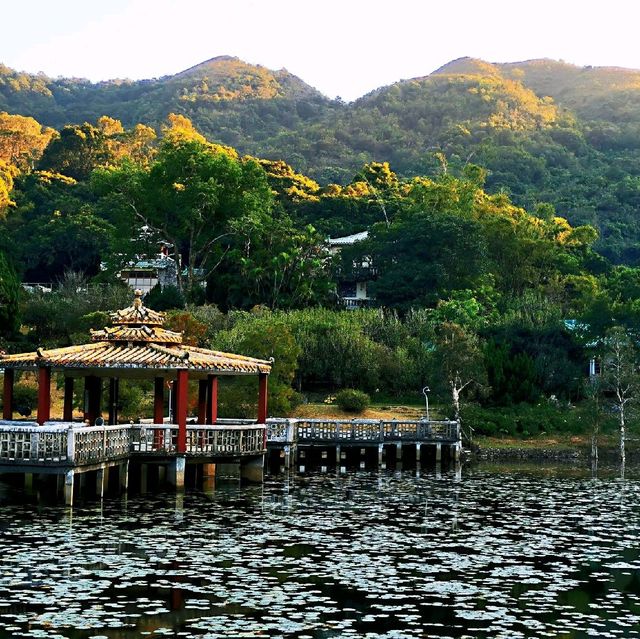 大嶼山龍仔悟園