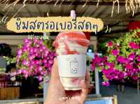 ชิมสตรอเบอรี่สดๆ ที่ไร่อิชิโกะ