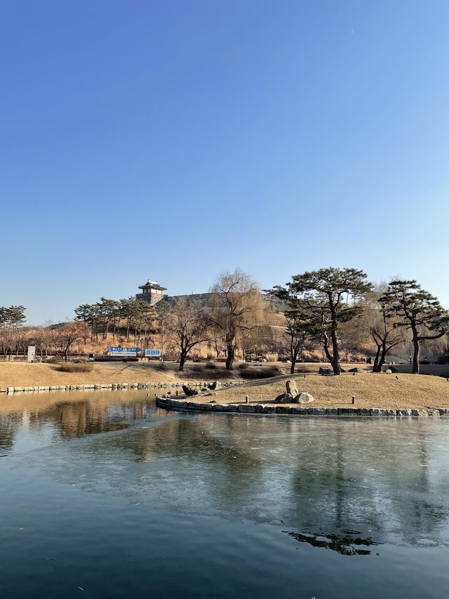 오리도 만날 수 있는 수원 방화수류정