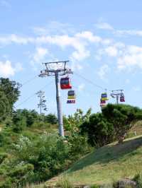 인천 강화루지, 이색 데이트코스 추천