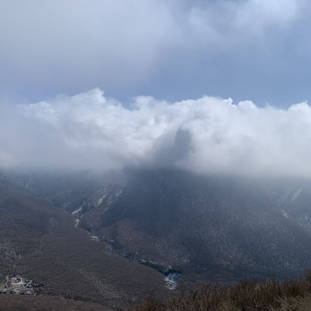한라산이 다보이는 개꿀 오름 [어승생악]