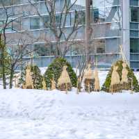 さっぽろテレビ塔前のツリー