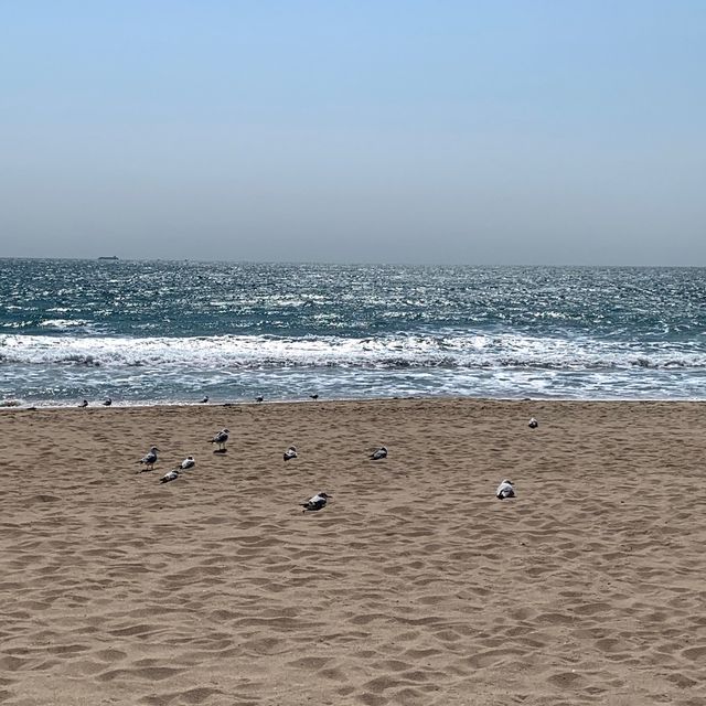 해운대 신라스테이에서 바다보며 호캉스🌊