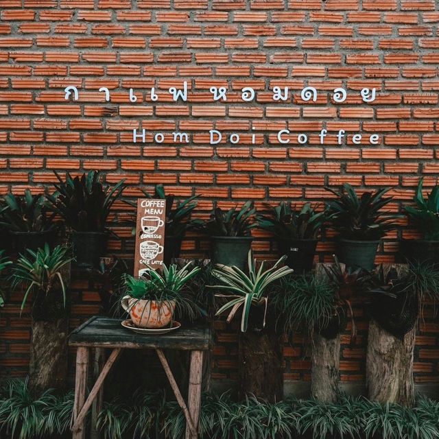 🏘 HOM DOI COFFEE BY หอมดอย เชียงใหม่ 🏘