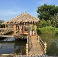พวน ฟาร์ม คาเฟ่ คาเฟ่เปิดใหม่ย่าน คลอง15