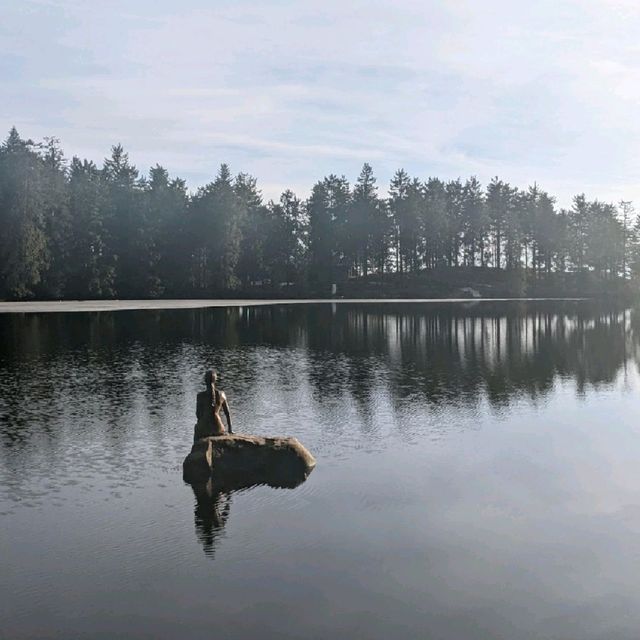 Scenic lake in Black Forest