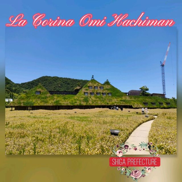 【滋賀県 近江八幡】そこはまるでおとぎの国へのエントランス🌹