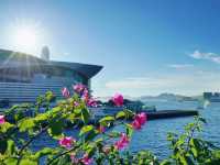 灣仔海濱欣賞日落美景