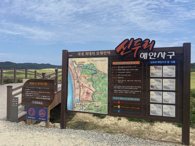 둘리가 태어난 후에 생겨진 태안 신두리 해안사구🎶