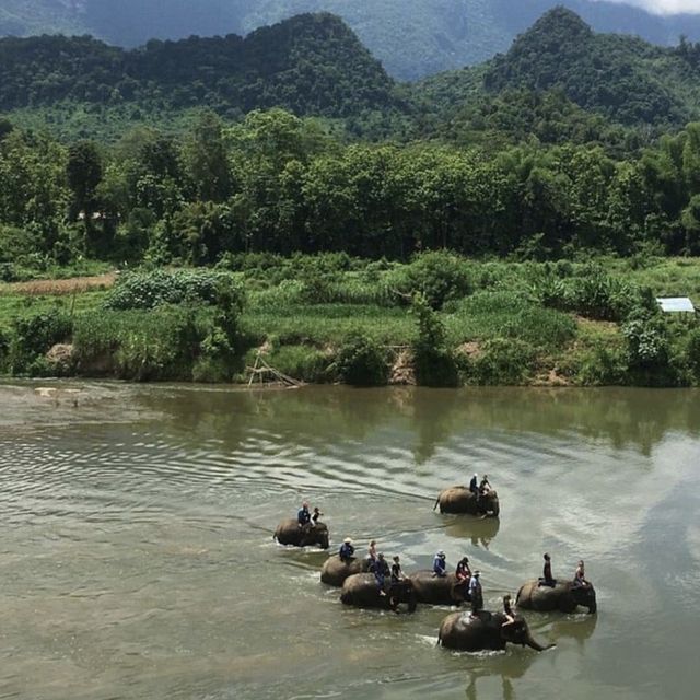 Elephant village 