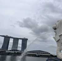 8 hours in Singapore, Best Transit ever!