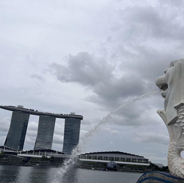 8 hours in Singapore, Best Transit ever!