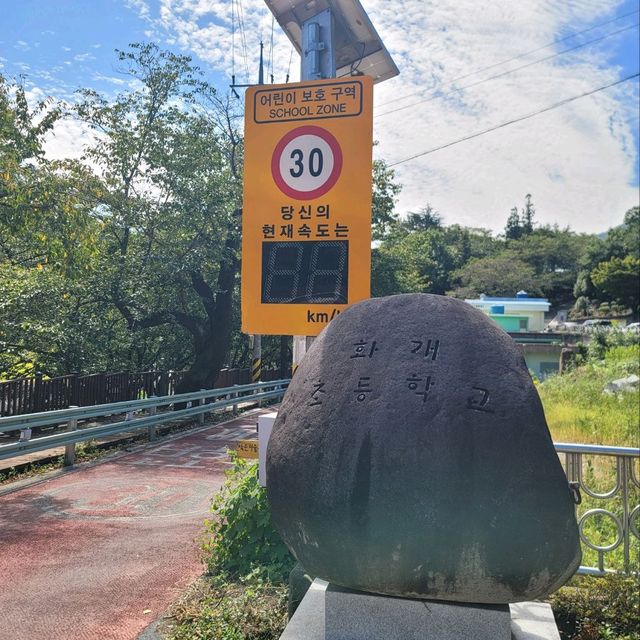 탄소발자국 하동십리벚꽃길 산책 