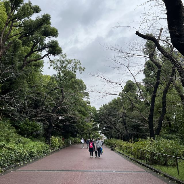 Relaxing Stroll at Ueno Park