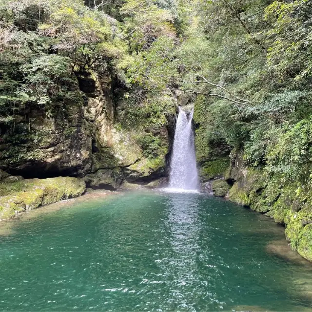 高知県　にこ淵