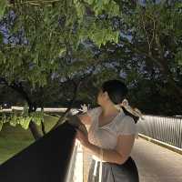 อัพเดทมุมถ่ายรูปสุดฮิต สวนเบญจกิติช่วงกลางคืน🤍