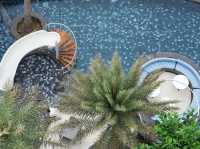 Worita cove hotel ที่พักน่ารักๆฟีลเกาหลี เกาใจ ริม