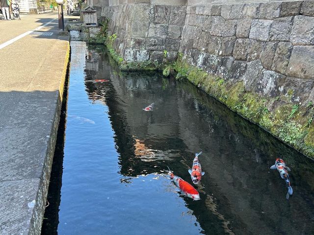【宮崎】飫肥城下町と飫肥城跡