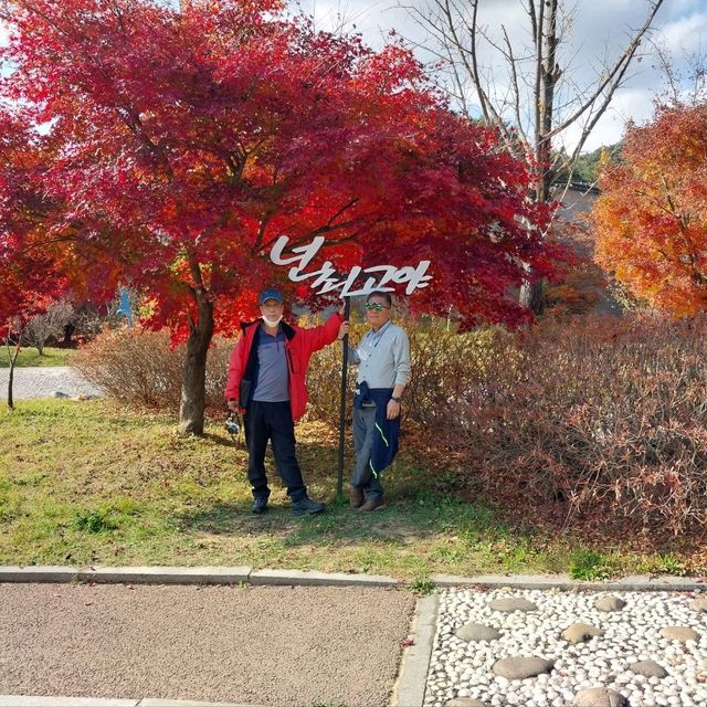 위로가 필요할때 용문산
