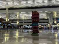 Modern Terminal 3 for International Trip 
