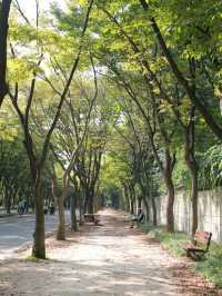인천가면 꼭 인천대공원에서 산책하기🚶‍♂️🚶‍♀️