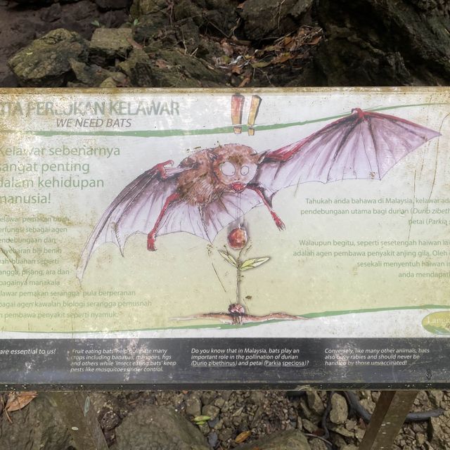 GUA KELAWAR LANGKAWI