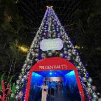 Visit Jewel for Snow, light snow, tree etc 