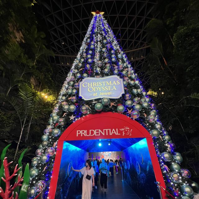 Visit Jewel for Snow, light snow, tree etc 