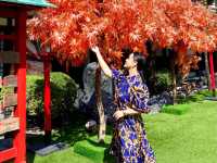 Little Osaka เมืองไทย