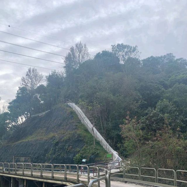 上花山,下花山!花果洞?頗有野趣! 上花山,下花山!花果洞?頗有野趣!