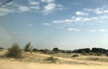 두바이 사파리, 사막 투어