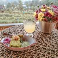 Mori Natural Farm โมริ เนเชอรัลฟาร์ม เชียงใหม่ 🦮