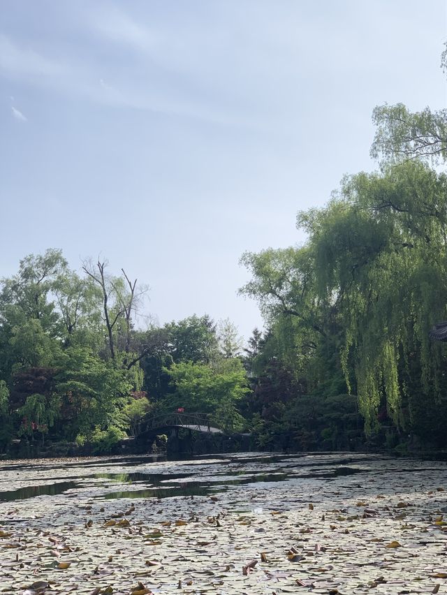 파주 데이트코스 추천 :: 벽초지수목원🌼