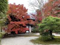 京都[紅葉めぐり] 南禅寺　天授庵- 枯山水庭園にて和む -