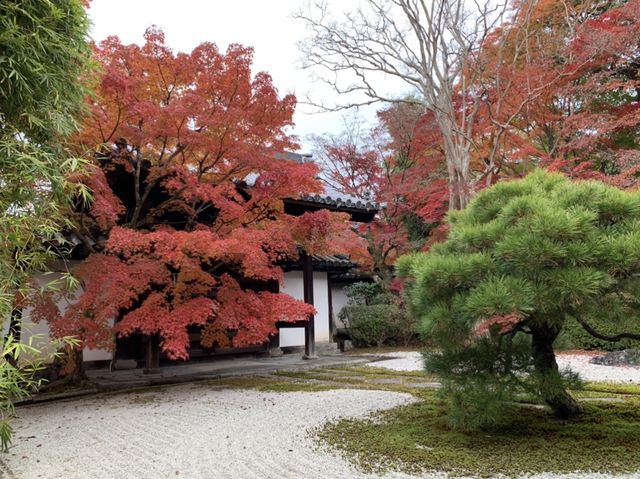 京都[紅葉めぐり] 南禅寺　天授庵- 枯山水庭園にて和む -