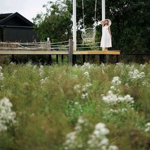 จิบกาแฟ ชมทุ่งดอกไม้ ที่ Stardoi Flower Farm