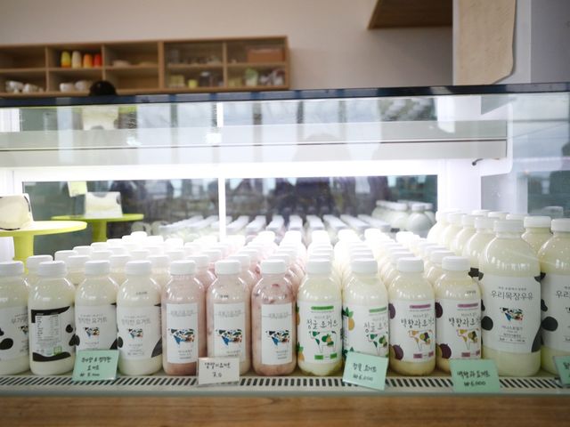 제주 어니스트밀크 요거트 맛집
