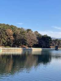 창원 용지호수공원 피크닉 