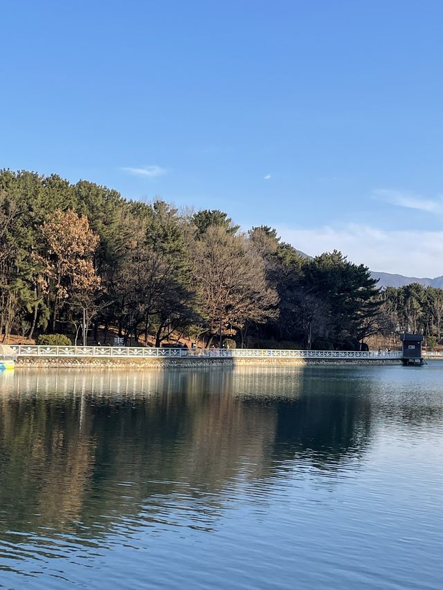 창원 용지호수공원 피크닉 