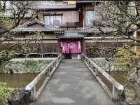 京都　KYOTO SAKURAめぐり❗️祇園白川の桜に感動❗️