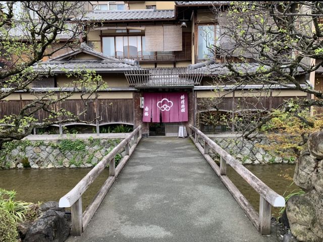 京都　KYOTO SAKURAめぐり❗️祇園白川の桜に感動❗️