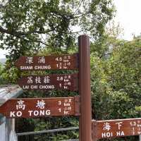 大自然奇觀，巨型摺曲洗衫板岩層