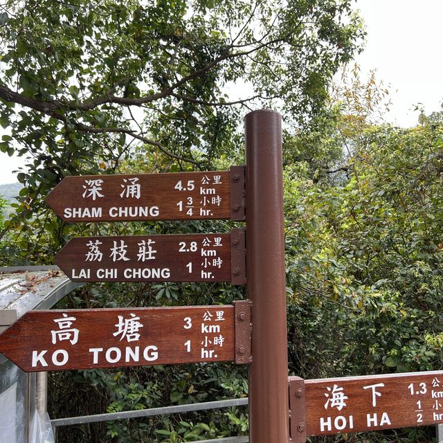 大自然奇觀，巨型摺曲洗衫板岩層
