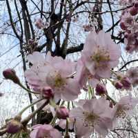 【東京】東京のど真ん中にある自然豊かな公園