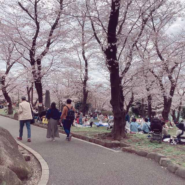 【王子】飛鳥山公園