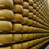 意大利Modena🧀舌尖旅行～巴馬臣芝士工房