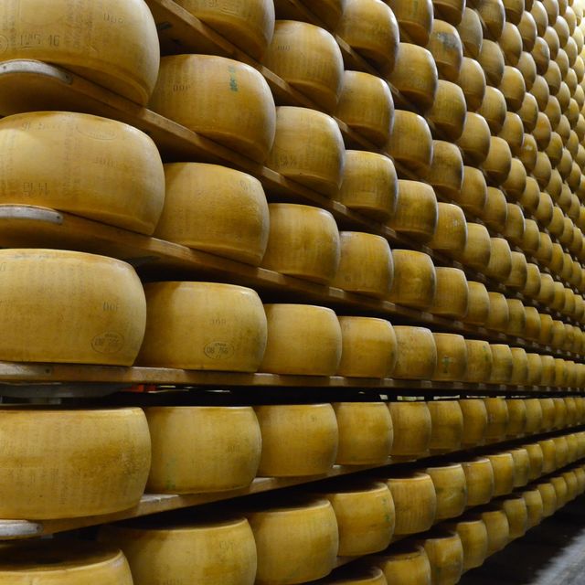 意大利Modena🧀舌尖旅行～巴馬臣芝士工房