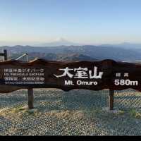 大室山之美