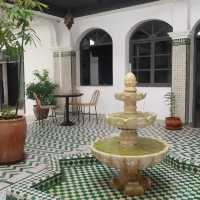 摩洛哥Marrakech 🔶 Rodamón Riad Marrakech